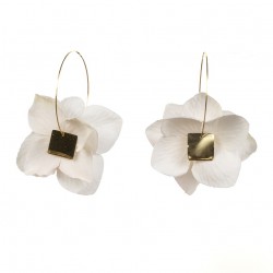 les hortensias